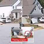 dramatic-footage-captures-car-smashing-into-house-during-south-carolina-police-chase
