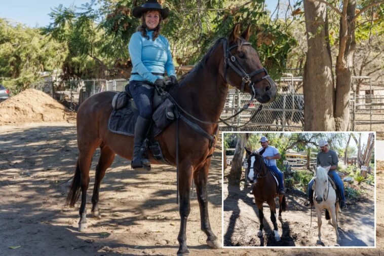 california-horse-town-brings-in-maverick-solution-to-‘extremely-dangerous’-boulevard