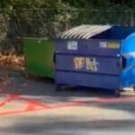 mail-bins-filled-with-92-undelivered-midterm-ballots-found-tossed-in-seattle-park-dumpster-(video)