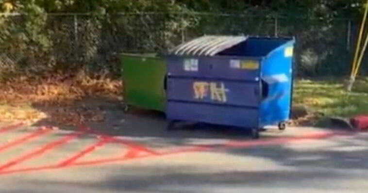 mail-bins-filled-with-92-undelivered-midterm-ballots-found-tossed-in-seattle-park-dumpster-(video)