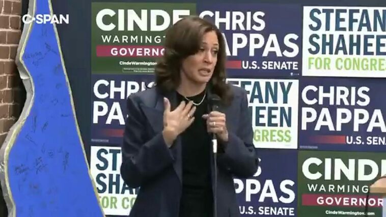 kamala-harris-returns-to-campaign-trail-with-a-76-word-head-scratcher
