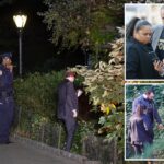 latest-central-park-rape-is-fifth-in-iconic-green-space-so-far-this-year:-‘stay-away’