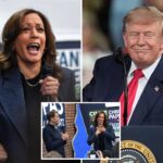 kamala-harris-jokes-about-cursing-out-tv-in-rage-at-trump-after-2024-loss:-‘we’ve-been-depressed-and-angry’