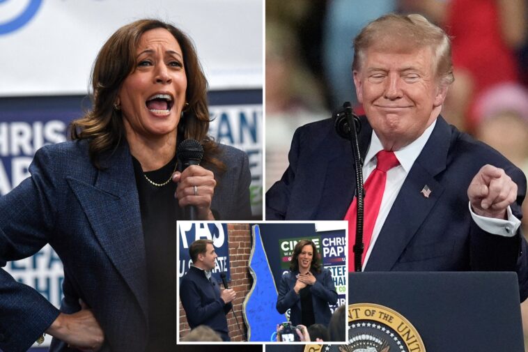 kamala-harris-jokes-about-cursing-out-tv-in-rage-at-trump-after-2024-loss:-‘we’ve-been-depressed-and-angry’