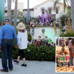 novel-way-californians-are-scrimping-on-halloween-amid-cost-of-living-crisis:-‘hanging-in-there’