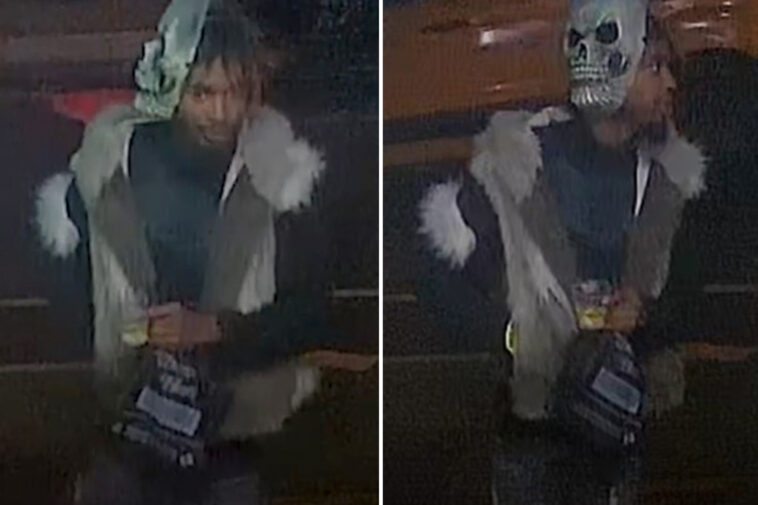 fur-covered-creep-in-skull-mask-stabs-man-in-trendy-nyc-nabe