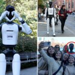 $89k-ai-robot-unleashed-in-nyc-park-to-learn-human-behavior