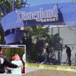 dead-body-found-next-to-disneyland-resort-entrance