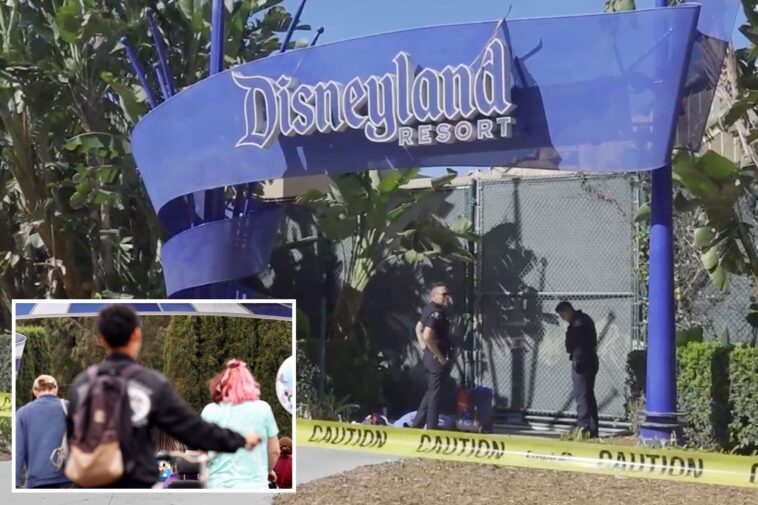 dead-body-found-next-to-disneyland-resort-entrance