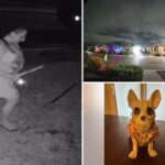 ghoulish-thief-caught-on-camera-stealing-halloween-decorations-from-family’s-lawn:-report