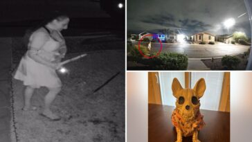 ghoulish-thief-caught-on-camera-stealing-halloween-decorations-from-family’s-lawn:-report