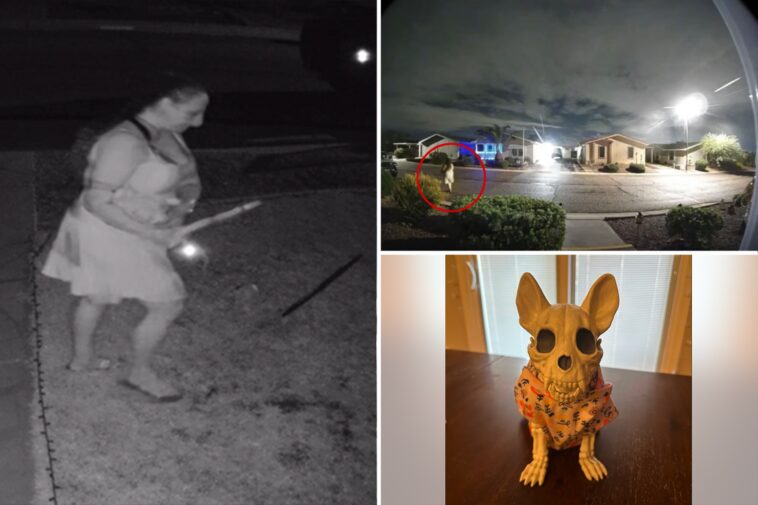 ghoulish-thief-caught-on-camera-stealing-halloween-decorations-from-family’s-lawn:-report