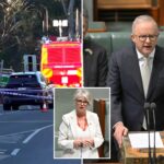 australian-parliament-pays-tribute-to-injured-lawmaker-as-it-resumes-work-under-increased-security