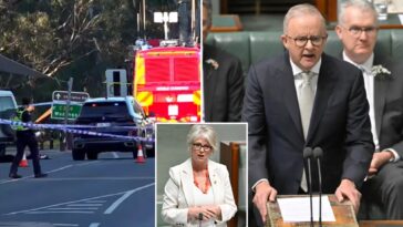 australian-parliament-pays-tribute-to-injured-lawmaker-as-it-resumes-work-under-increased-security