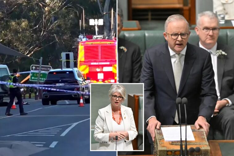 australian-parliament-pays-tribute-to-injured-lawmaker-as-it-resumes-work-under-increased-security