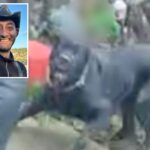 man-lucky-to-be-alive-after-neighbor’s-dog-attacked-him,-bit-his-neck