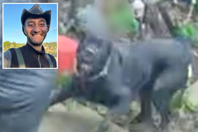 man-lucky-to-be-alive-after-neighbor’s-dog-attacked-him,-bit-his-neck