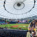 brewers-closer-trevor-megill-starts-world-series-controversy-ahead-of-game-3:-‘f–king-idiot’