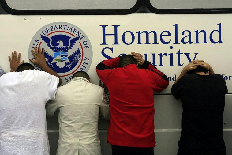 the-illegals-who-cried-victimwolf