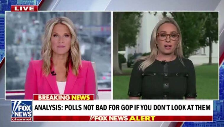 experts-say-midterm-polls-only-bad-for-republicans-if-you-look-at-them