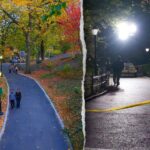 dems-silent-after-violent-attack-in-wealthy-area-of-new-york-city-as-suspect-remains-at-large