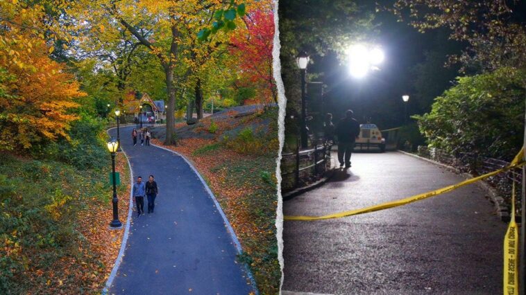 dems-silent-after-violent-attack-in-wealthy-area-of-new-york-city-as-suspect-remains-at-large