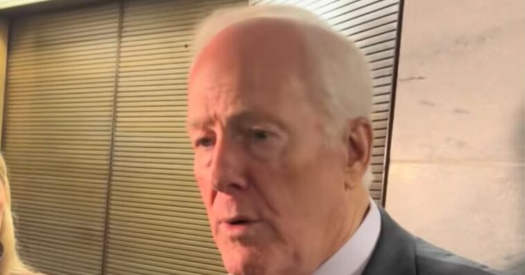 exclusive:-rino.-senator-and-sore-loser,-john-cornyn-wants-president-trump-to-take-money-out-of-the-texas-senate-race-–-disgusting!
