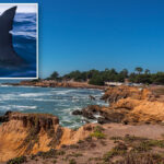 california-kayaker-is-knocked-into-ocean-by-shark-in-notorious-waters