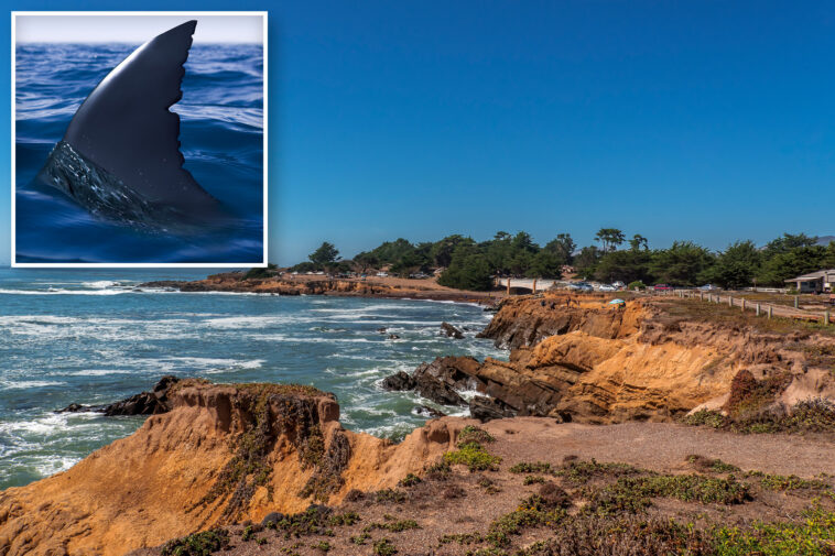 california-kayaker-is-knocked-into-ocean-by-shark-in-notorious-waters