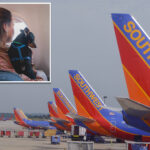 southwest-flight-attendant-who-gets-‘violently-ill’-from-pets-sues-airline-for-being-forced-to-work-on-flights-with-cats-and-dogs