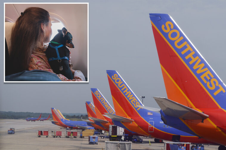 southwest-flight-attendant-who-gets-‘violently-ill’-from-pets-sues-airline-for-being-forced-to-work-on-flights-with-cats-and-dogs
