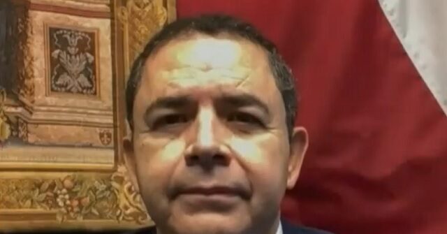cuellar:-once-dems-get-majority,-they-can’t-‘continue-looking-at-fringe-issues’-and-making-them-platform