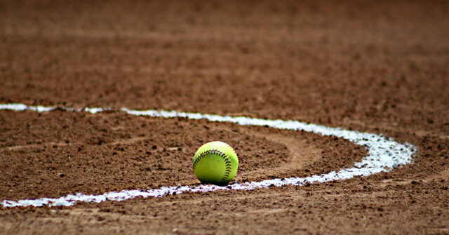 watch:-parents-arrested-after-fierce-fight-at-12-year-old’s-softball-game