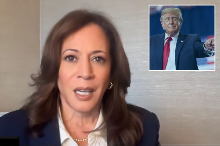 kamala-harris-warns-dems-against-impeaching-trump-if-they-retake-congress:-‘not-a-good-idea’