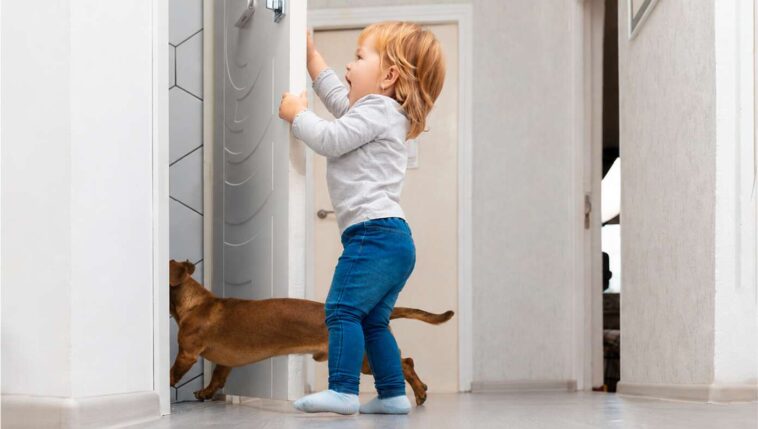dog,-toddler-team-up-to-make-sure-you-are-doing-okay-on-the-toilet