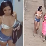 mystery-woman-arrested-in-american’s-death-after-manhunt-in-costa-rican-tourist-hotspot