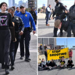 over-a-dozen-anti-ice-protesters-arrested-after-blocking-brooklyn-bridge-traffic:-police-sources