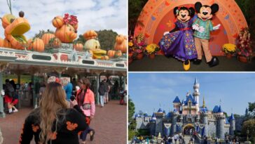 disney-theme-parks-division-hit-with-brutal-round-of-layoffs-as-company-reviews-priorities