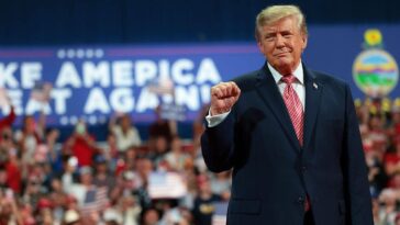 why-most-journalists-are-tired-of-fact-checking-donald-trump