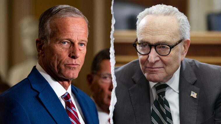 thune-goes-all-in-on-campaign-trail-as-schumer-stays-on-bench,-faces-rejection-from-fellow-dems