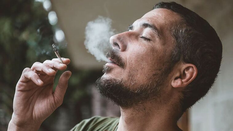 dr-marc-siegel:-america’s-awful-marijuana-addiction-is-spreading-from-parents-to-kids