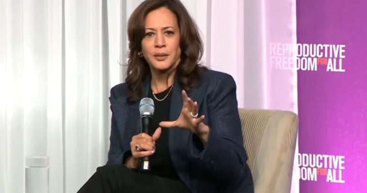 kamala-harris-tells-new-hampshire-crowd-democrats-must-expand-the-supreme-court-and-‘be-ruthless’-if-they-win-(video)