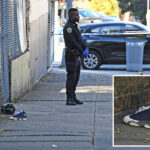 nyc-boy,-15,-shot-dead-by-apparent-teen-gunmen-on-way-to-school