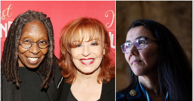‘the-view’-hosts-blast-alaska-democrats’-‘shady-tactic’-putting-a-second-dan-sullivan-on-the-ballot
