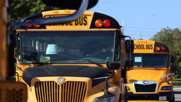 transgender-man-sues-to-regain-job-as-‘lolita’-school-bus-driver