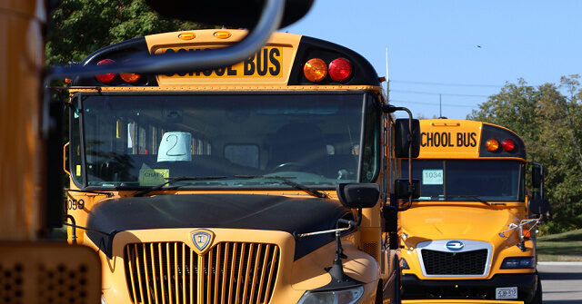 transgender-man-sues-to-regain-job-as-‘lolita’-school-bus-driver