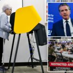 court-rejects-doj-effort-to-block-20,000-california-votes