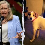 ‘biscuit’-the-dog-is-latest-dead-felon-to-get-their-voting-rights-back-from-spanberger,-confused-owner-says