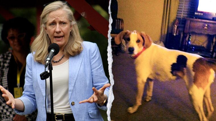 ‘biscuit’-the-dog-is-latest-dead-felon-to-get-their-voting-rights-back-from-spanberger,-confused-owner-says