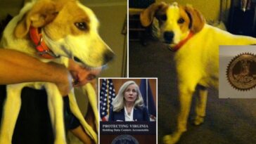‘biscuit’-the-dog-is-latest-dead-felon-to-get-their-voting-rights-back-from-virginia-gov.-spanberger,-confused-owner-says